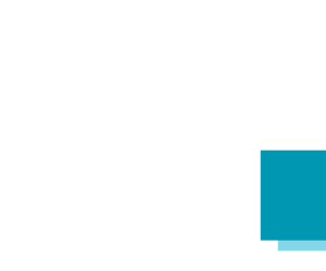website_logo